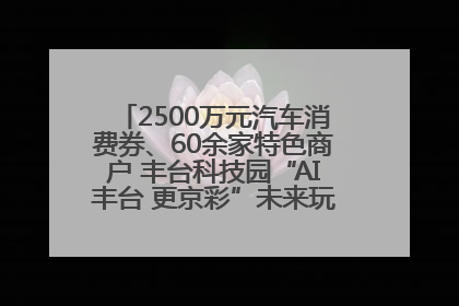 2500万元汽车消费券、60余家特色商户 丰台科技园“AI丰台 更京彩”未来玩家市集活动正式开幕