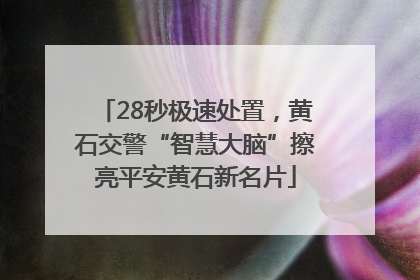 28秒极速处置，黄石交警“智慧大脑”擦亮平安黄石新名片