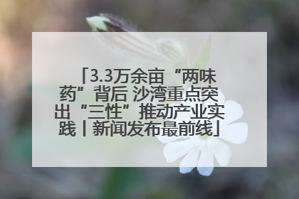 3.3万余亩“两味药”背后 沙湾重点突出“三性”推动产业实践丨新闻发布最前线