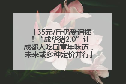 35元/斤仍受追捧！“成华猪2.0”让成都人吃回童年味道，未来或多种定价并行