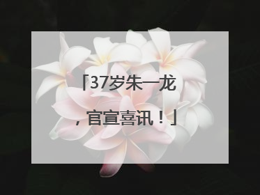 37岁朱一龙，官宣喜讯！