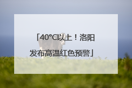 40°C以上！洛阳发布高温红色预警