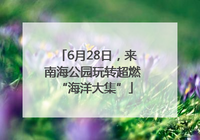 6月28日，来南海公园玩转超燃 “海洋大集”