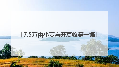 7.5万亩小麦喜开夏收第一镰