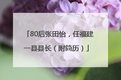 80后张田怡，任福建一县县长（附简历）