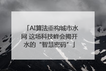 AI算法重构城市水网 这场科技峰会揭开水的“智慧密码”