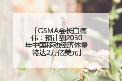 GSMA会长白德伟：预计到2030年中国移动经济体量将达2万亿美元
