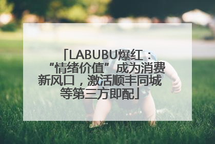 LABUBU爆红：“情绪价值”成为消费新风口，激活顺丰同城等第三方即配
