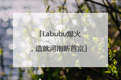 Labubu爆火，造就河南新首富
